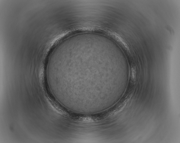 X0000115230588200911131645