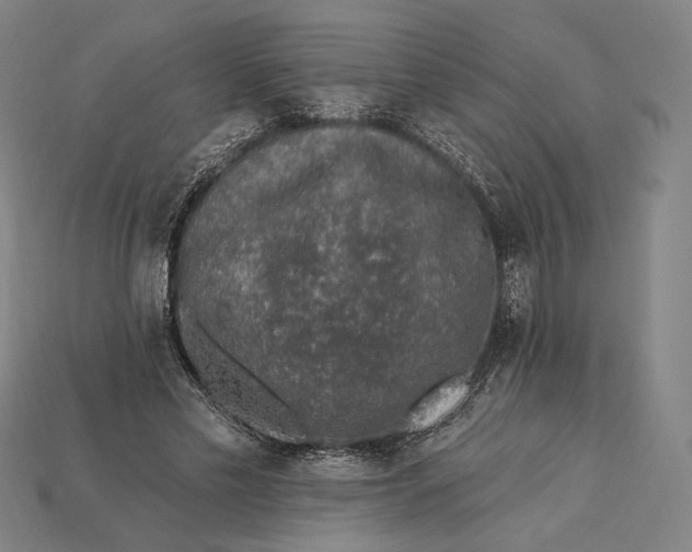 X0000115230589200911131645