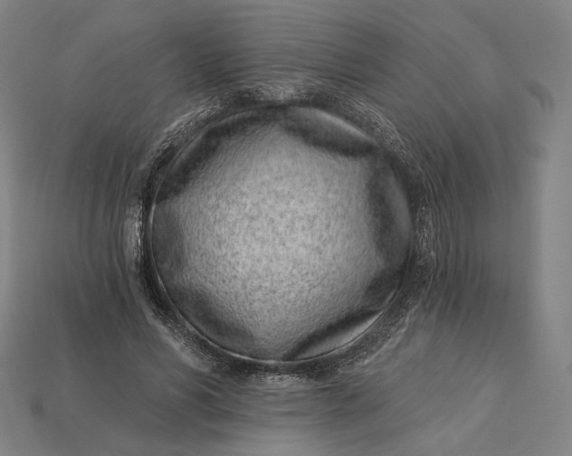 X0000115230590200911131645