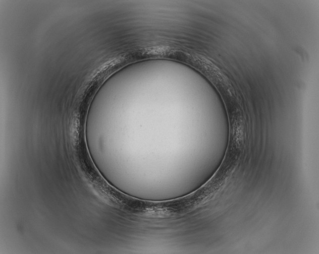 X0000115230591200911131645