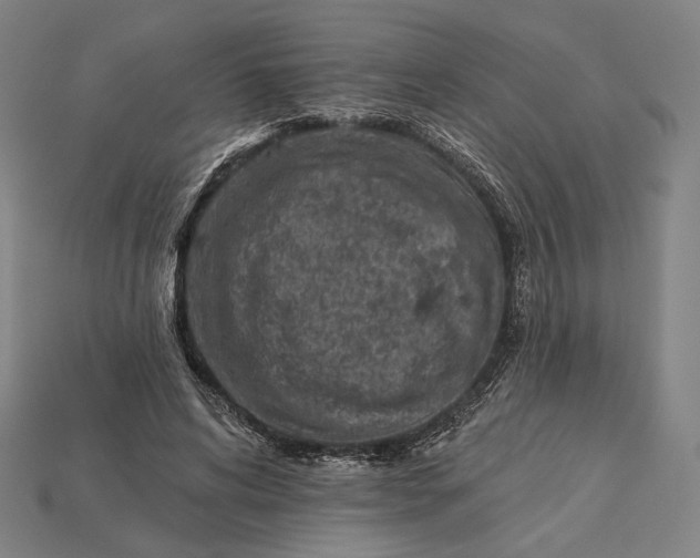 X0000115230592200911131645