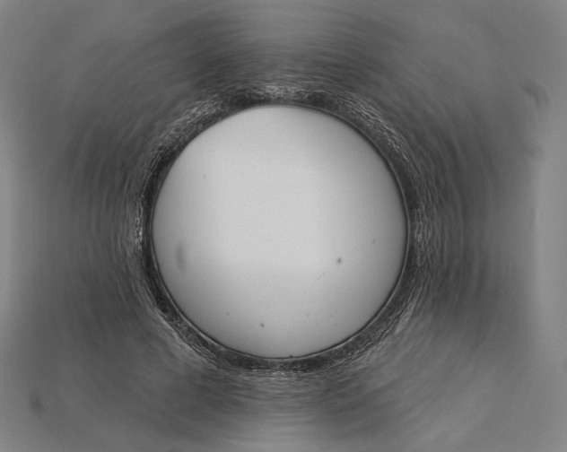 X0000115230593200911131645