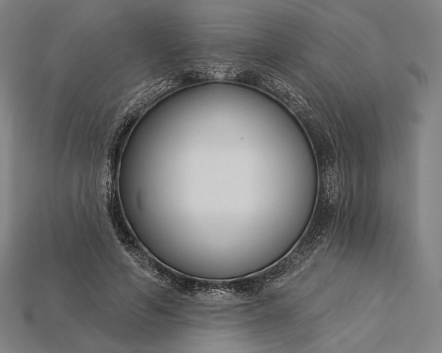 X0000115230594200911131645