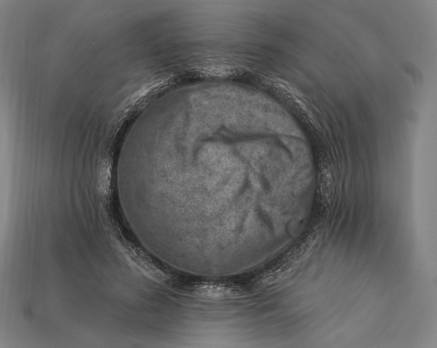 X0000115230596200911131645