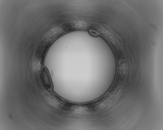 X0000115230597200911131645