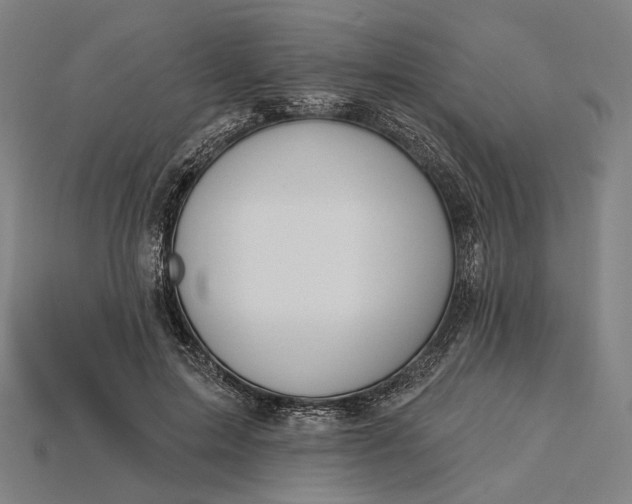 X0000115230599200911131645