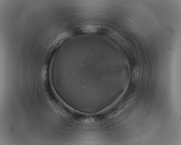 X0000115230600200911131645