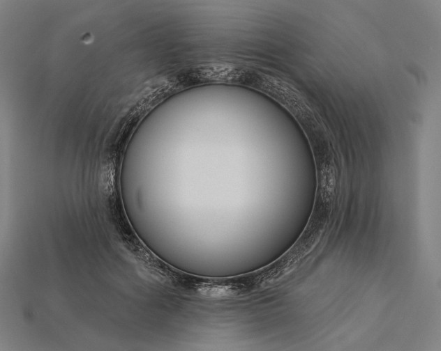 X0000115230602200911131645