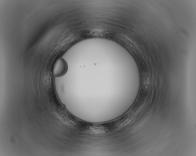 X0000115230603200911131645
