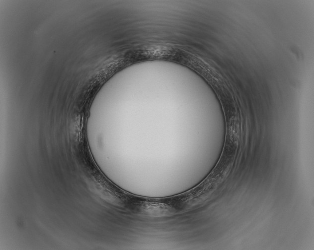 X0000115230605200911131645
