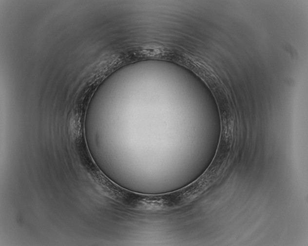 X0000115230606200911131645