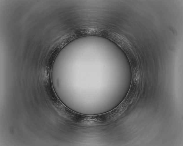 X0000115230607200911131645