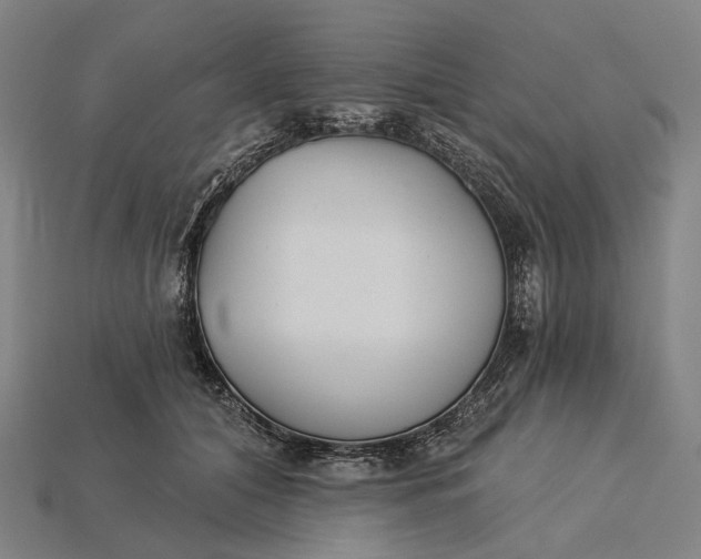X0000115230608200911131645
