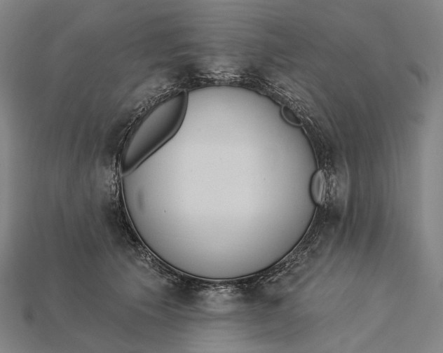 X0000115230609200911131645