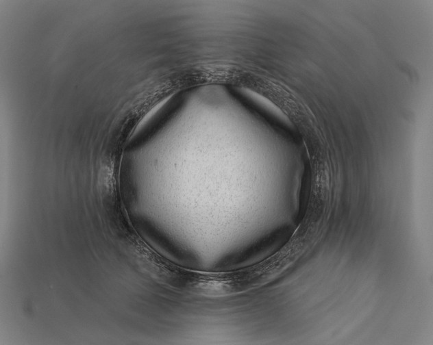 X0000115230610200911131645