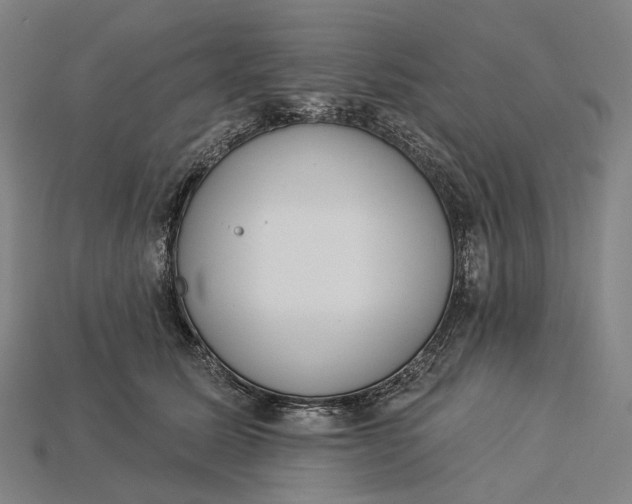 X0000115230611200911131645