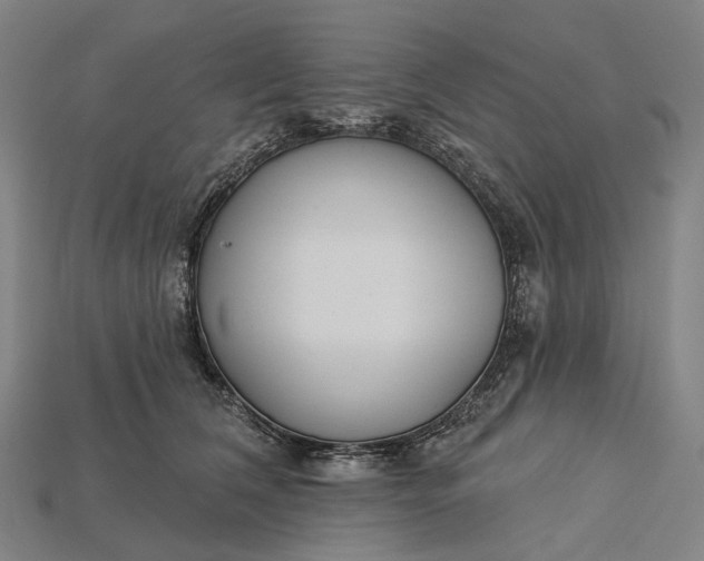 X0000115230612200911131645