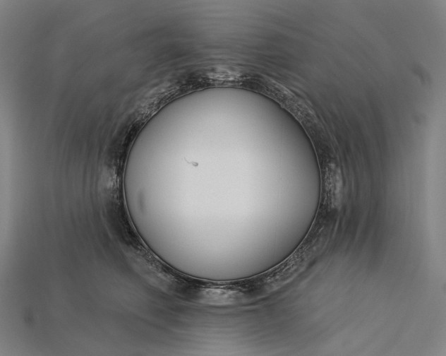 X0000115230614200911131645
