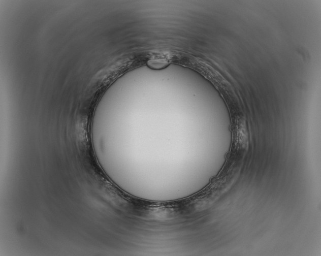X0000115230616200911131645