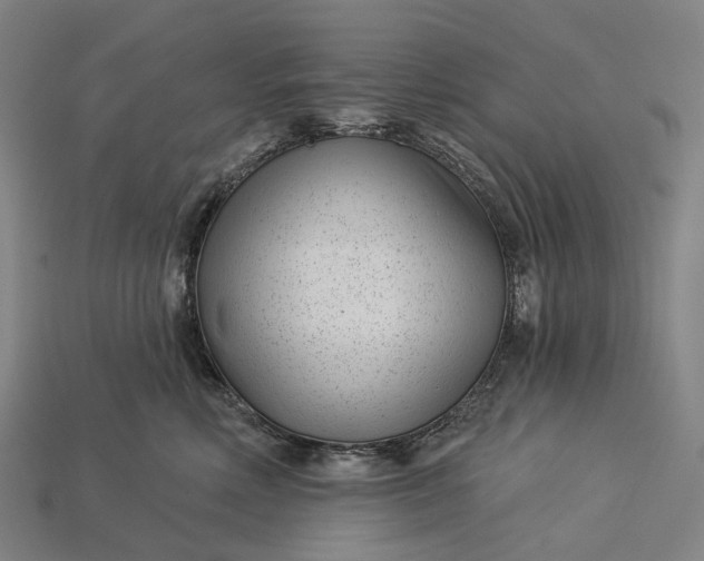 X0000115230618200911131645