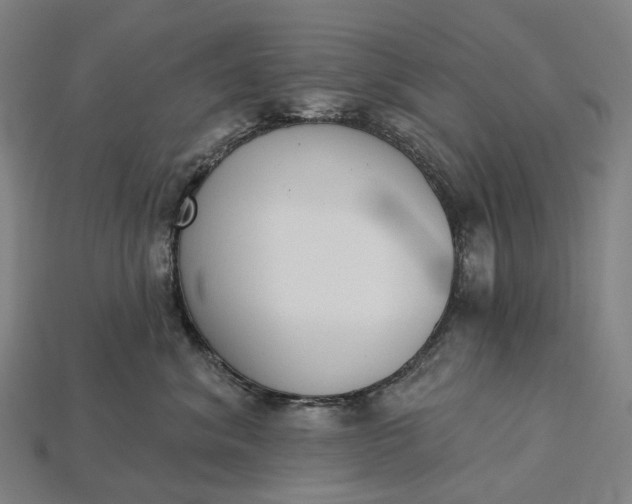 X0000115230620200911131645