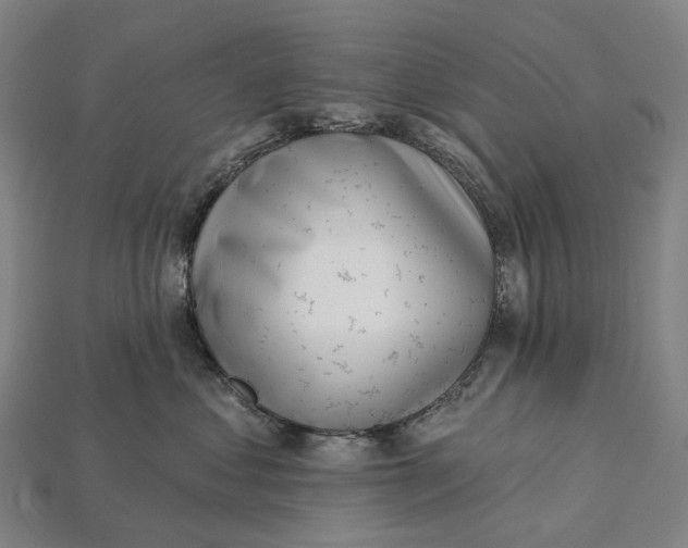 X0000115230621200911131645