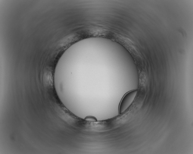 X0000115230622200911131645