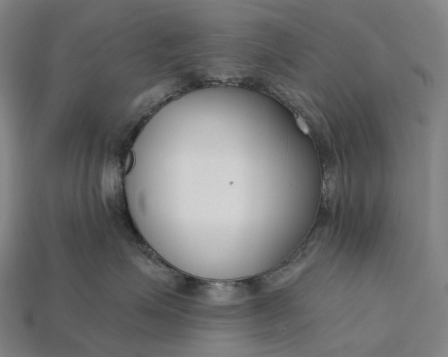 X0000115230623200911131645