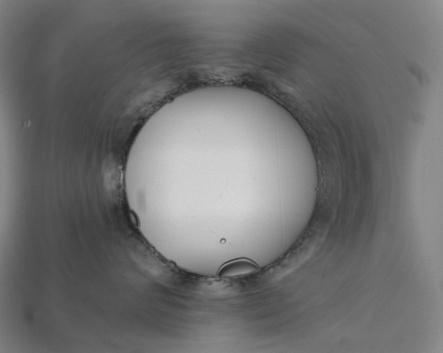 X0000115230624200911131645