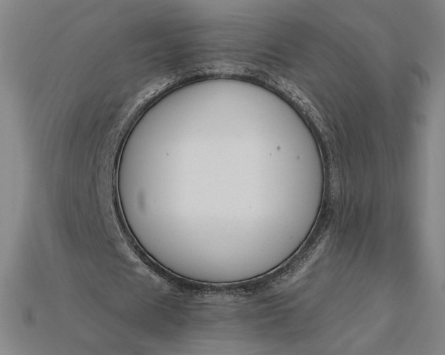 X0000115230625200911131644