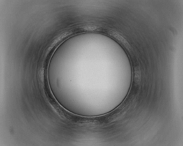 X0000115230626200911131644