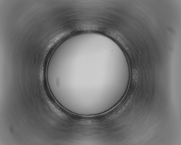 X0000115230629200911131644
