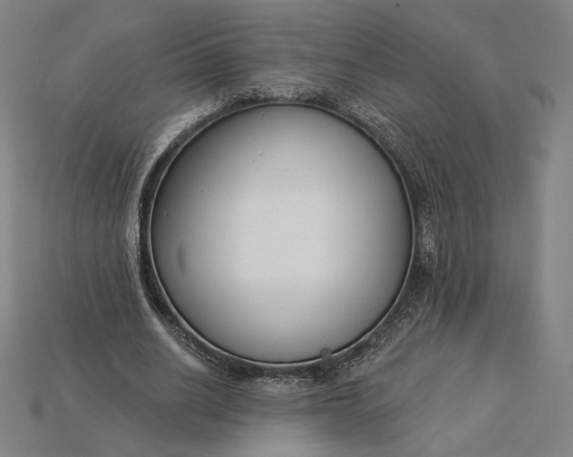 X0000115230630200911131644
