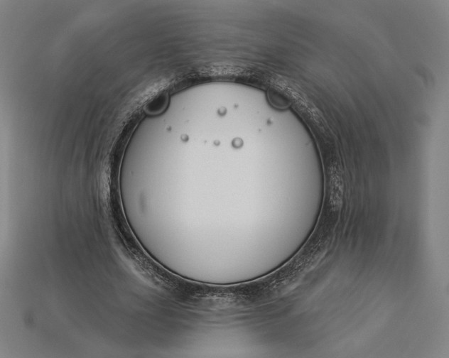 X0000115230631200911131644