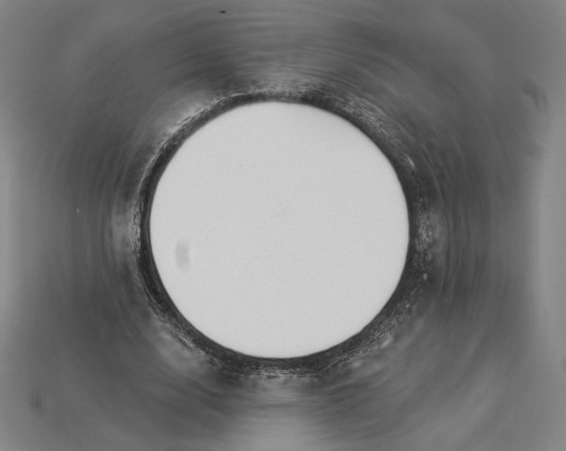 X0000115230632200911131644