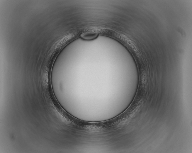 X0000115230633200911131644