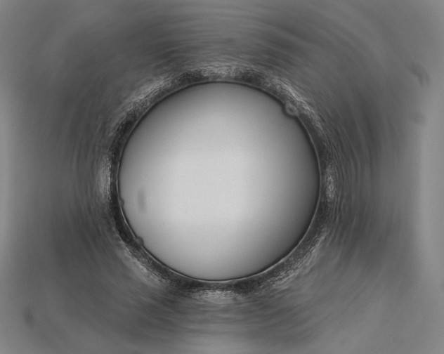 X0000115230637200911131644