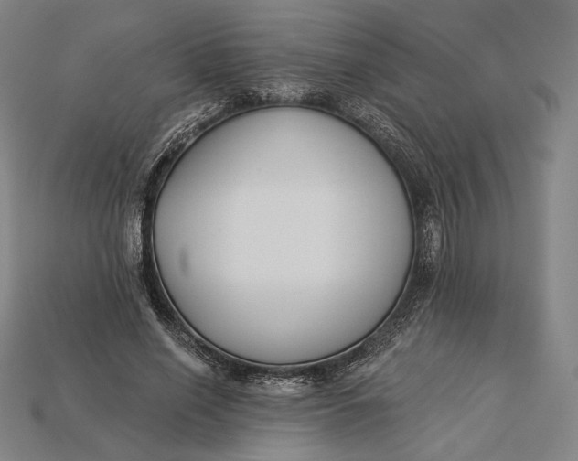 X0000115230638200911131644