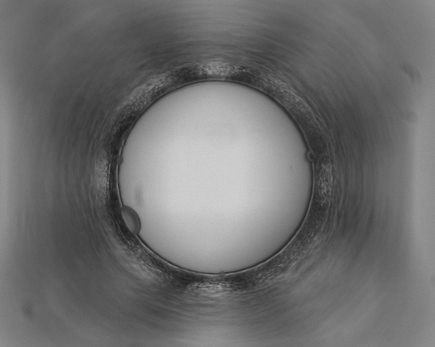 X0000115230639200911131644