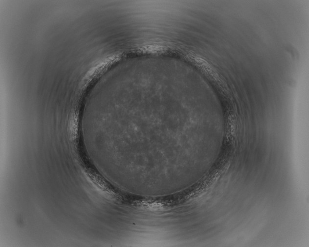 X0000115230640200911131644