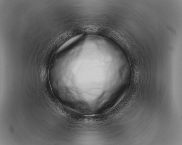 X0000115230641200911131644