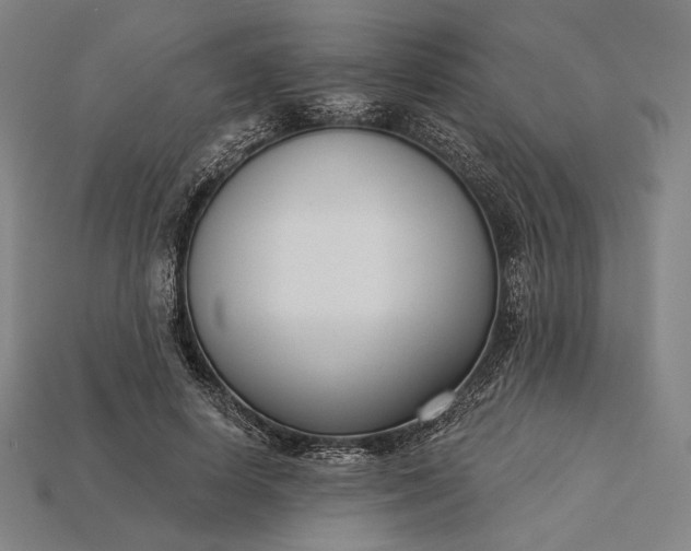 X0000115230642200911131644