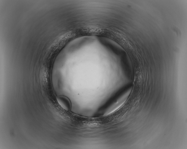 X0000115230643200911131644