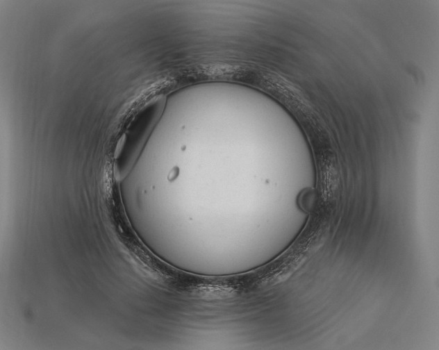 X0000115230644200911131644