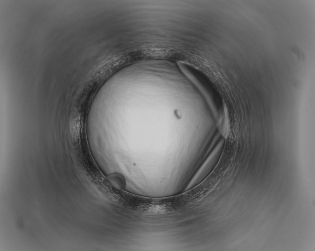 X0000115230647200911131644