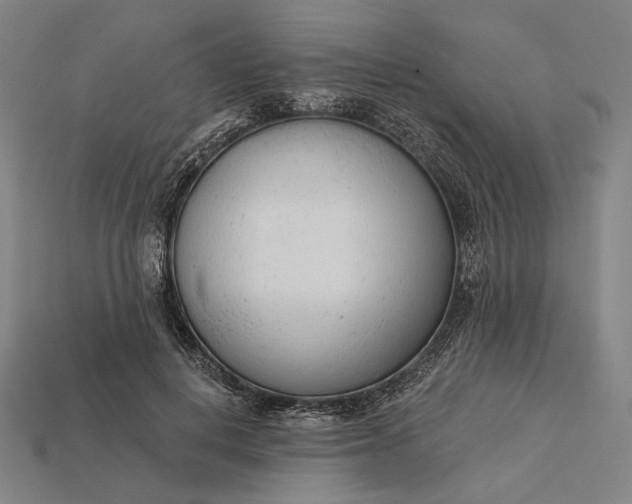 X0000115230648200911131644