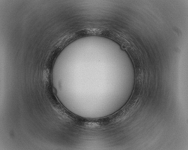 X0000115230649200911131644