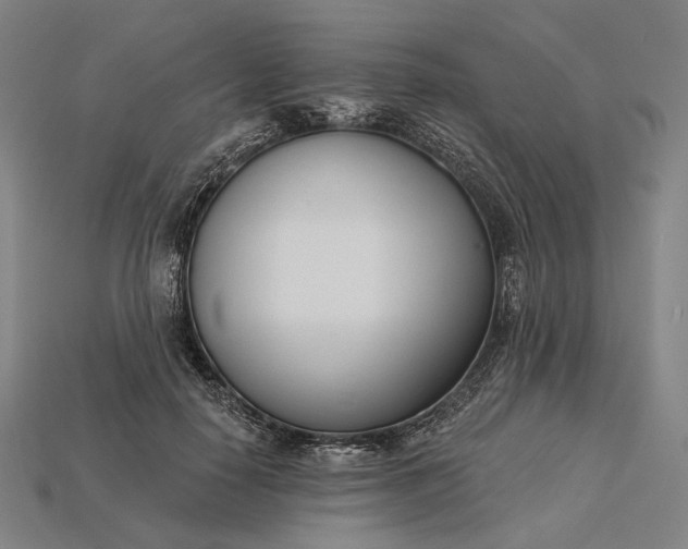 X0000115230650200911131644