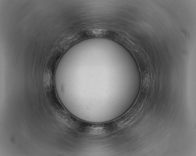 X0000115230651200911131644