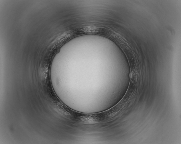 X0000115230652200911131644